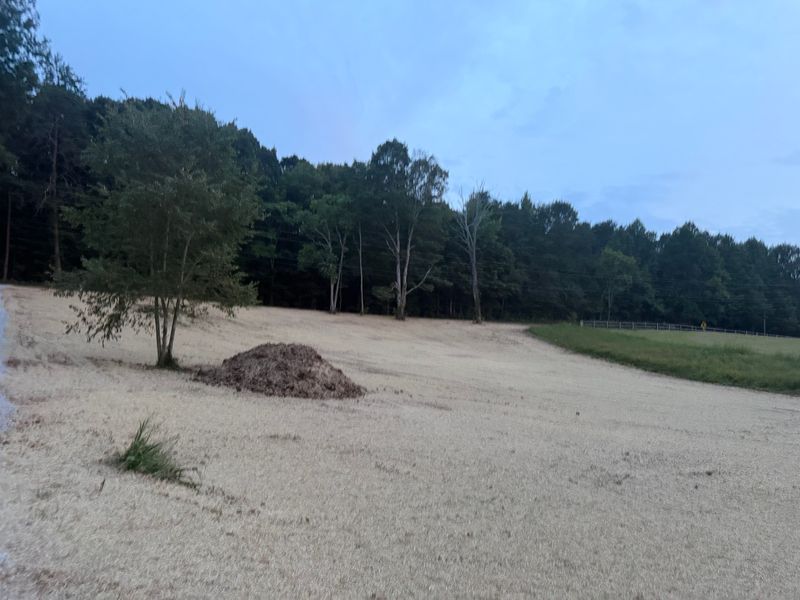 Land Clearing