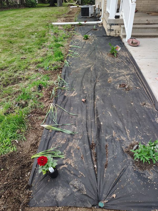 Seasonal Clean-ups