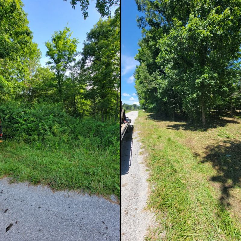 Land Clearing