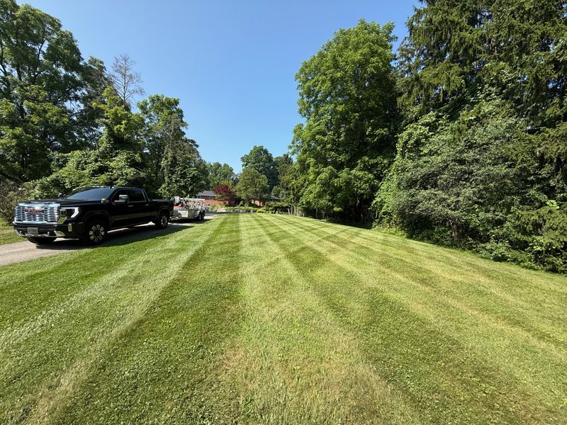 Lawn Mowing