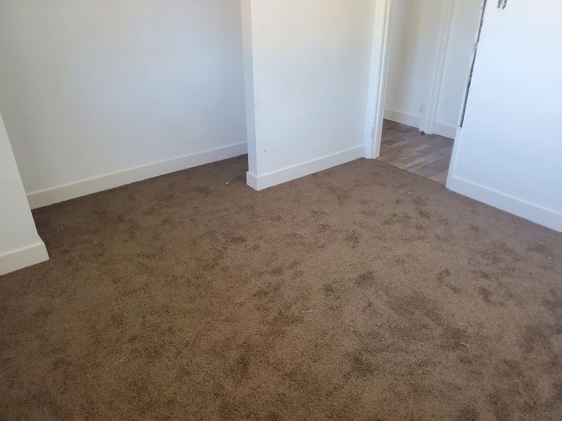 Carpet