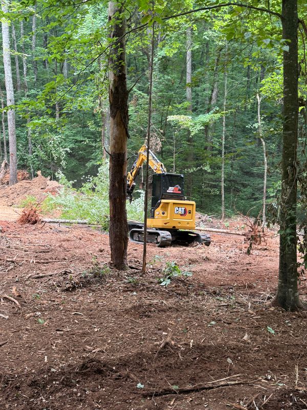 Land Clearing