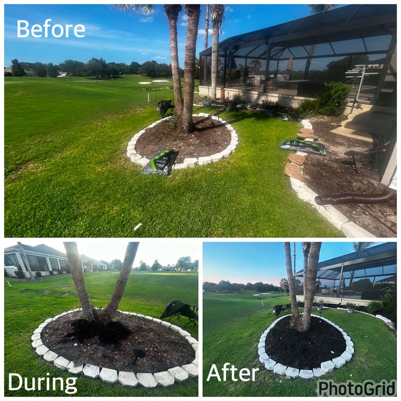 Before & After