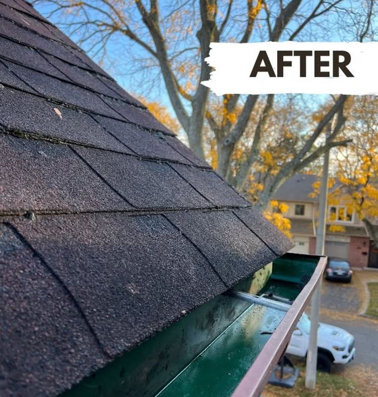 Gutter Cleaning
