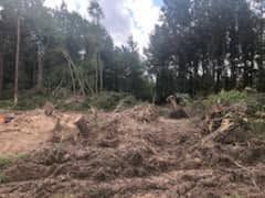 Land Clearing