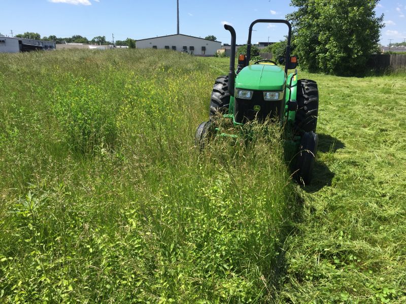 Bush Hogging