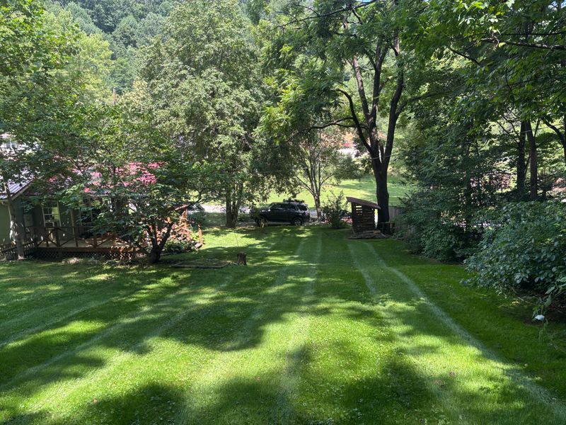 Lawn Maintenance