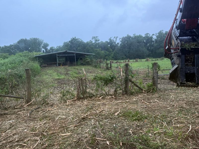 Land Clearing