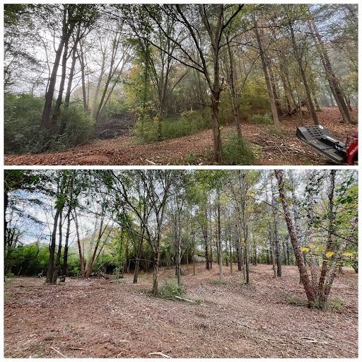 Lot Clearing