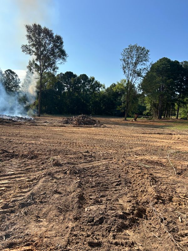Land Clearing
