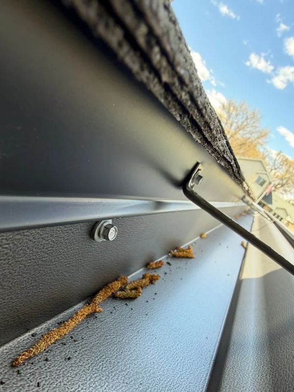 Gutter Cleaning