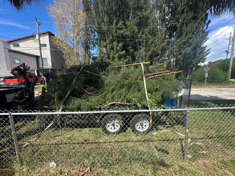 Shrub Trimming