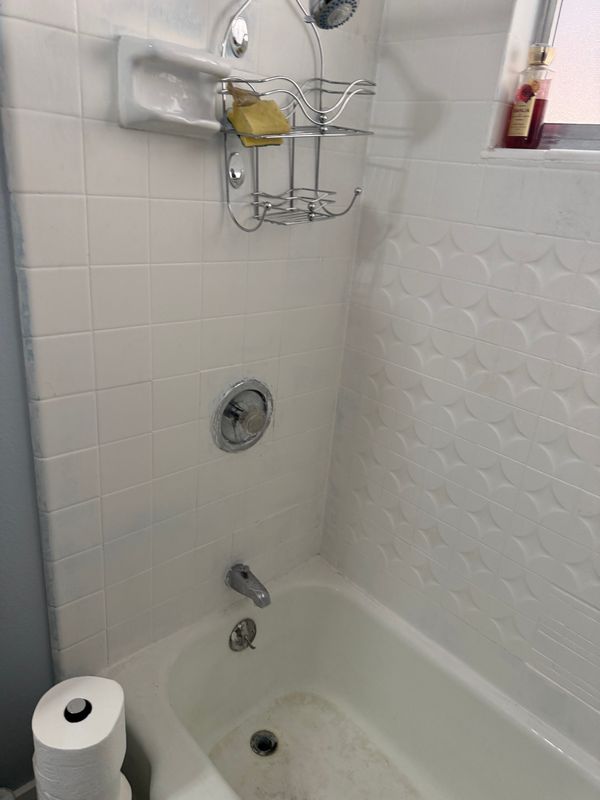 Transforming Your Shower Experience: Moen Positemp Installation