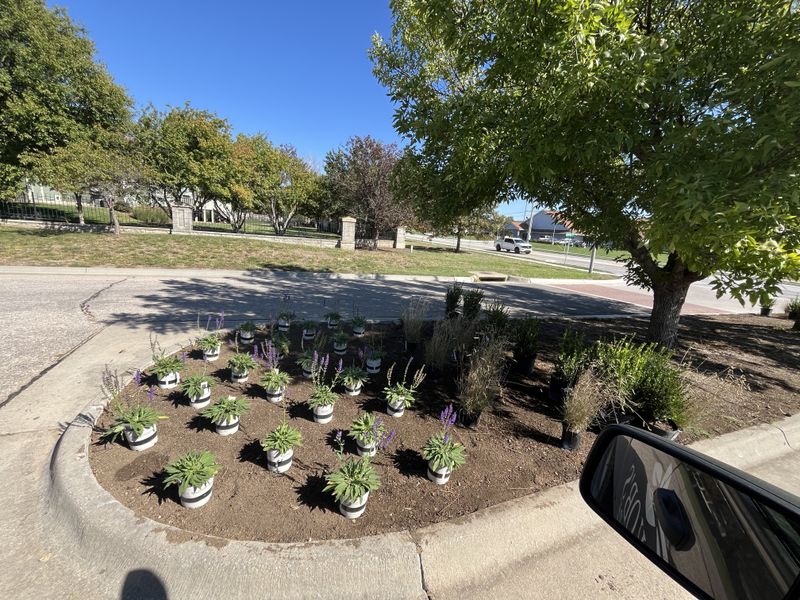 Landscaping