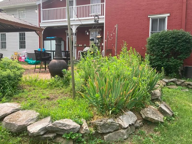 Landscape Design