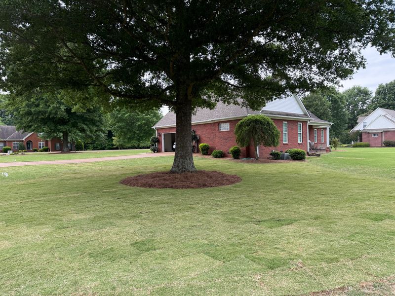 Lawn Maintenance