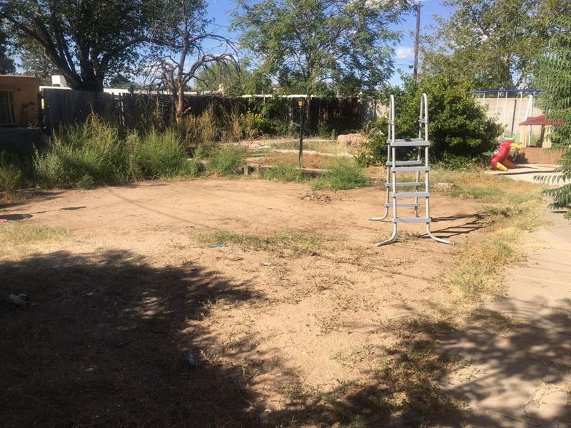 Stump Removal