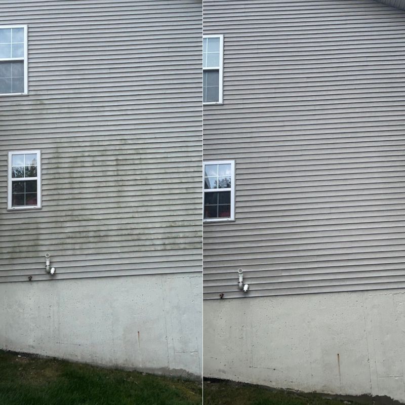 Transforming Homes from Green to Gleam in Williamston