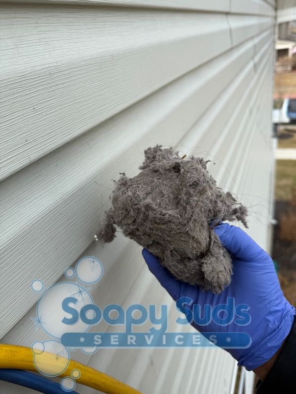 Dryer Vent Cleaning