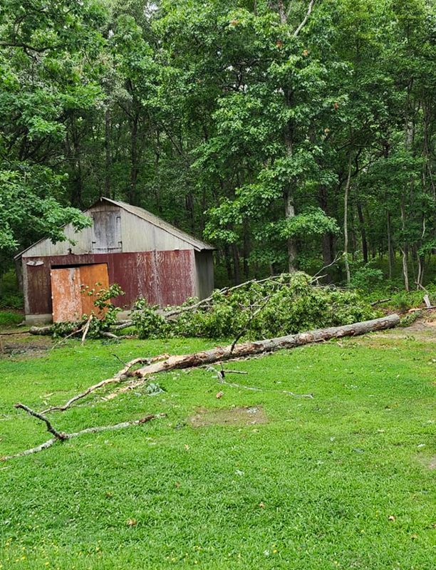 Storm Aftermath Swiftly Cleared: Melnyk's Tree Service Restores Order in Estell Manor, NJ