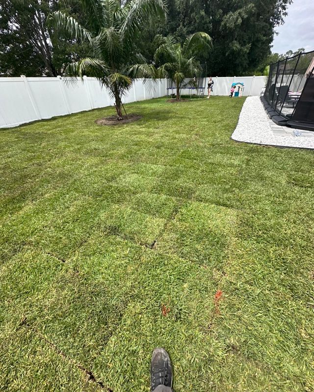 Sod Installation