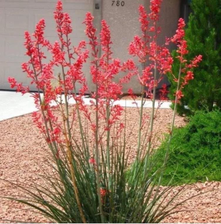 Landscape Design & Installation