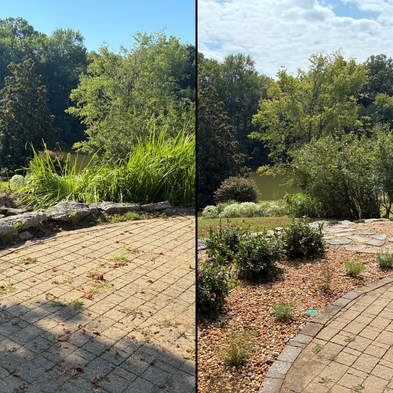 Fall Clean Up