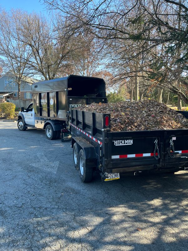 Fall cleanups