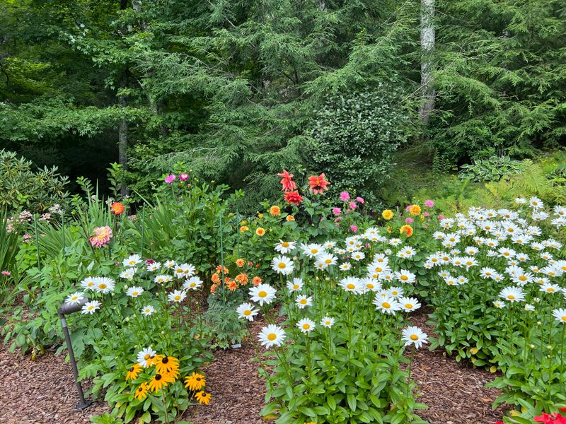 Perennial Gardens gallery
