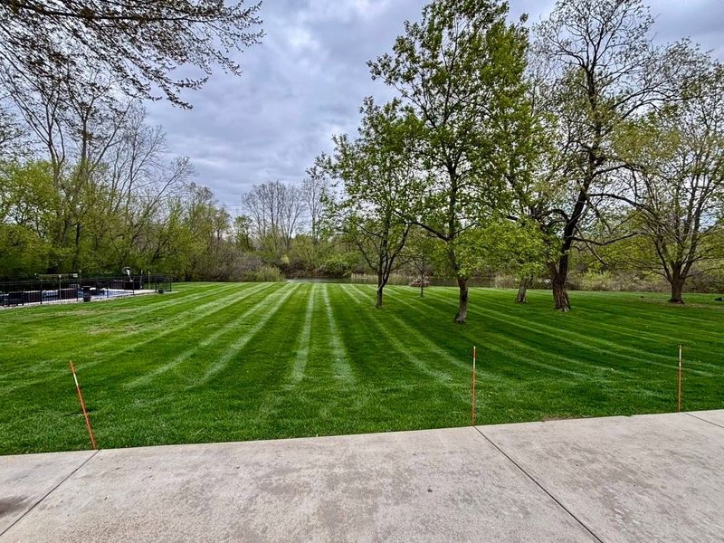Lawn Maintenance