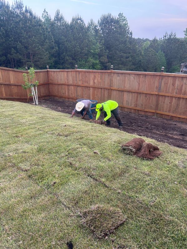 Sod Installation