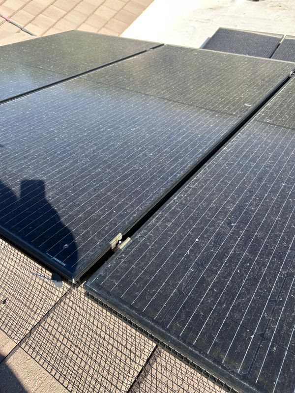 Bird Proofing