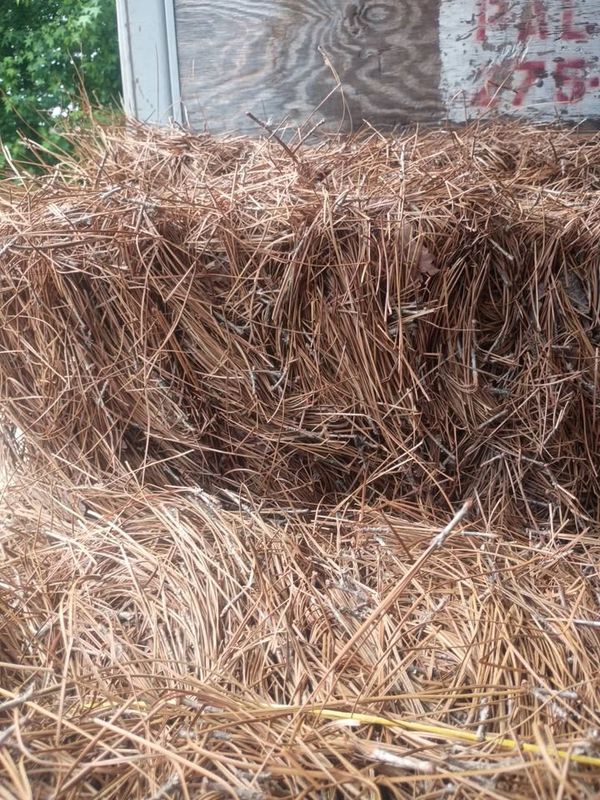 Pinestraw Installation