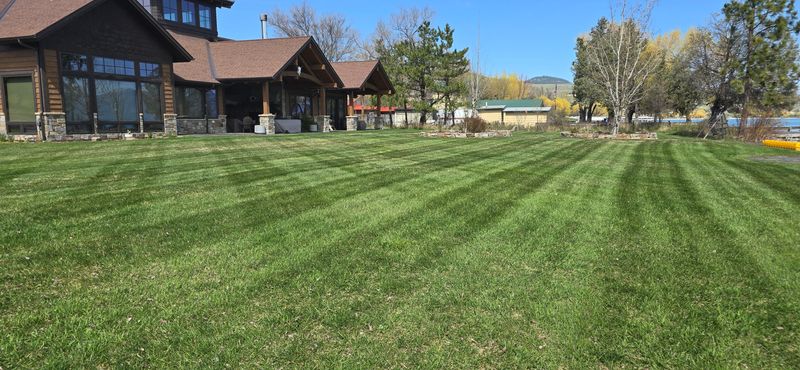 Lawn Maintenance