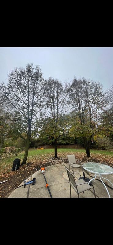 Fall Clean Up