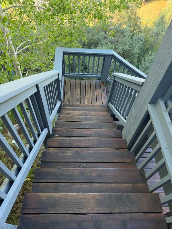 Deck Restoration
