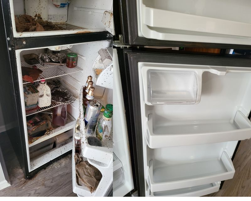 Before and After