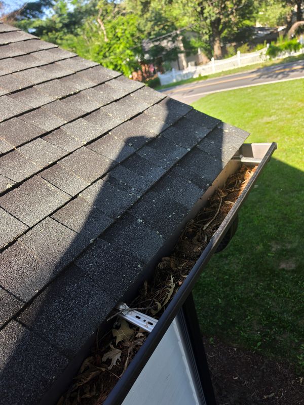 Gutter Guard & Protection (Leaf Protection)