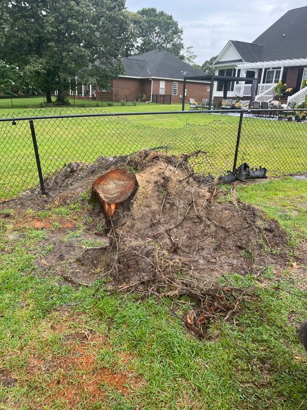 Stump Removal