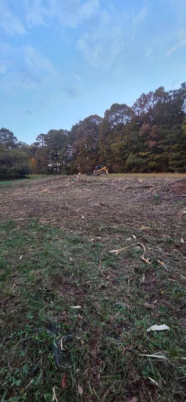 Brush Cutting