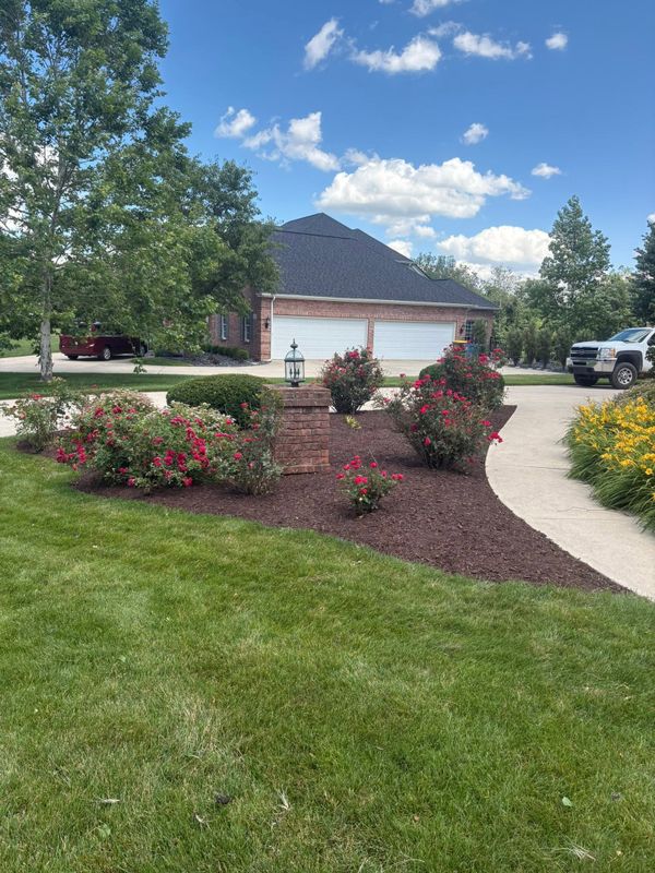 Landscape Design & Installation