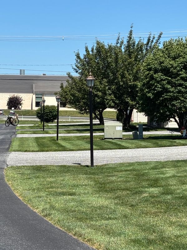 Lawn Maintenance