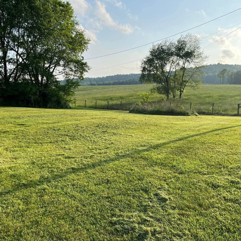 Lawn Care and Maintenance