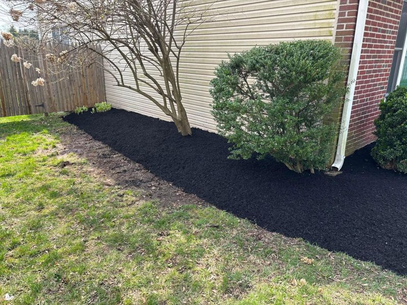 Mulch Bed Installation and Renovation