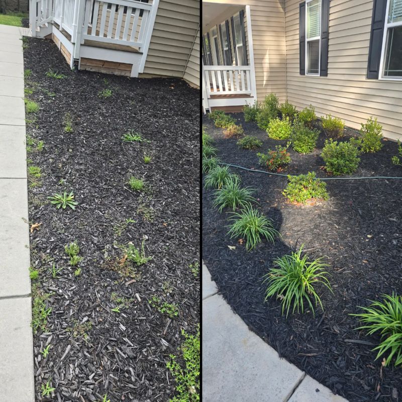 Mulch Installation