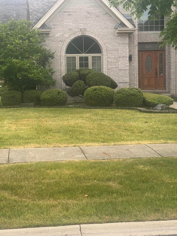 Hardscaping