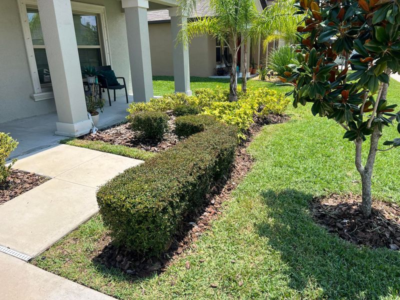 Hardscaping Landscaping