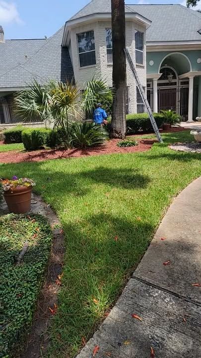Lawn Mowing