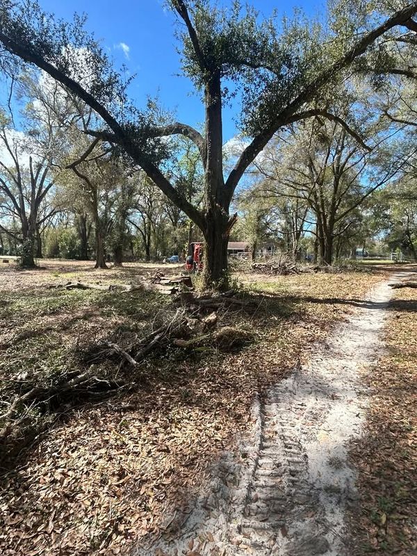 Debris Removal
