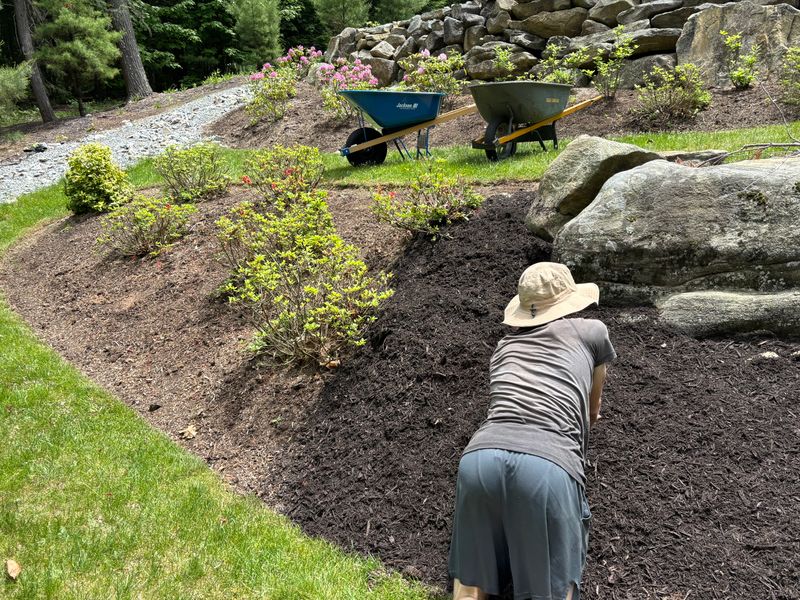 Mulch Installation
